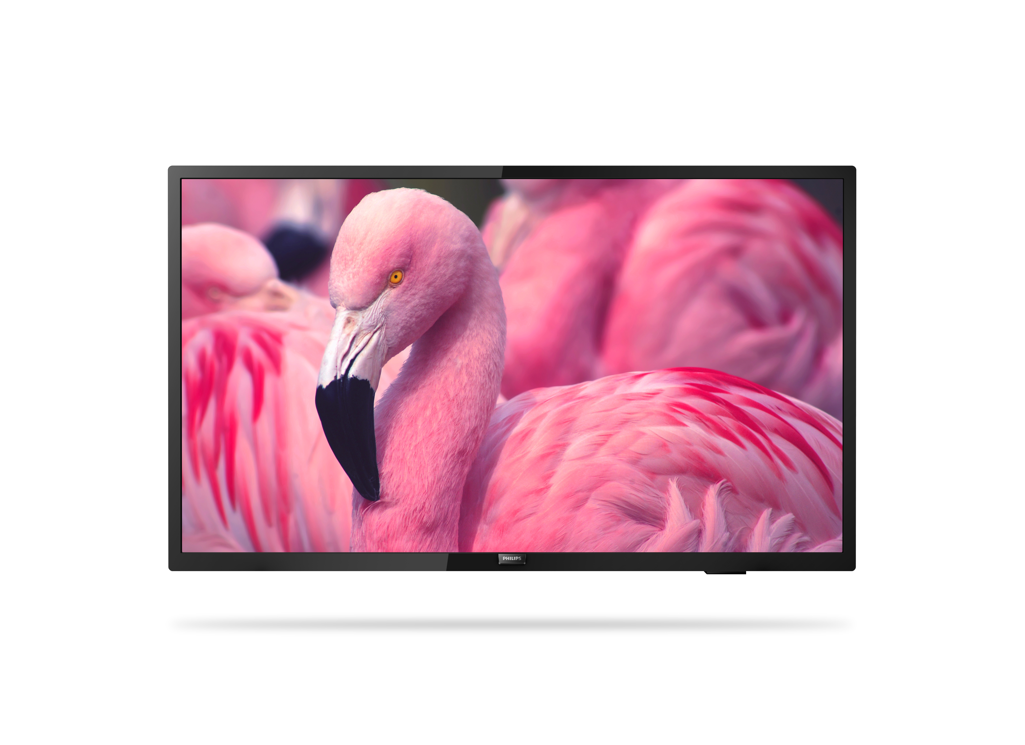 Philips 43 Zoll 43HFL4014/12 Smart Hotel-TV Full HD – Serie 4014