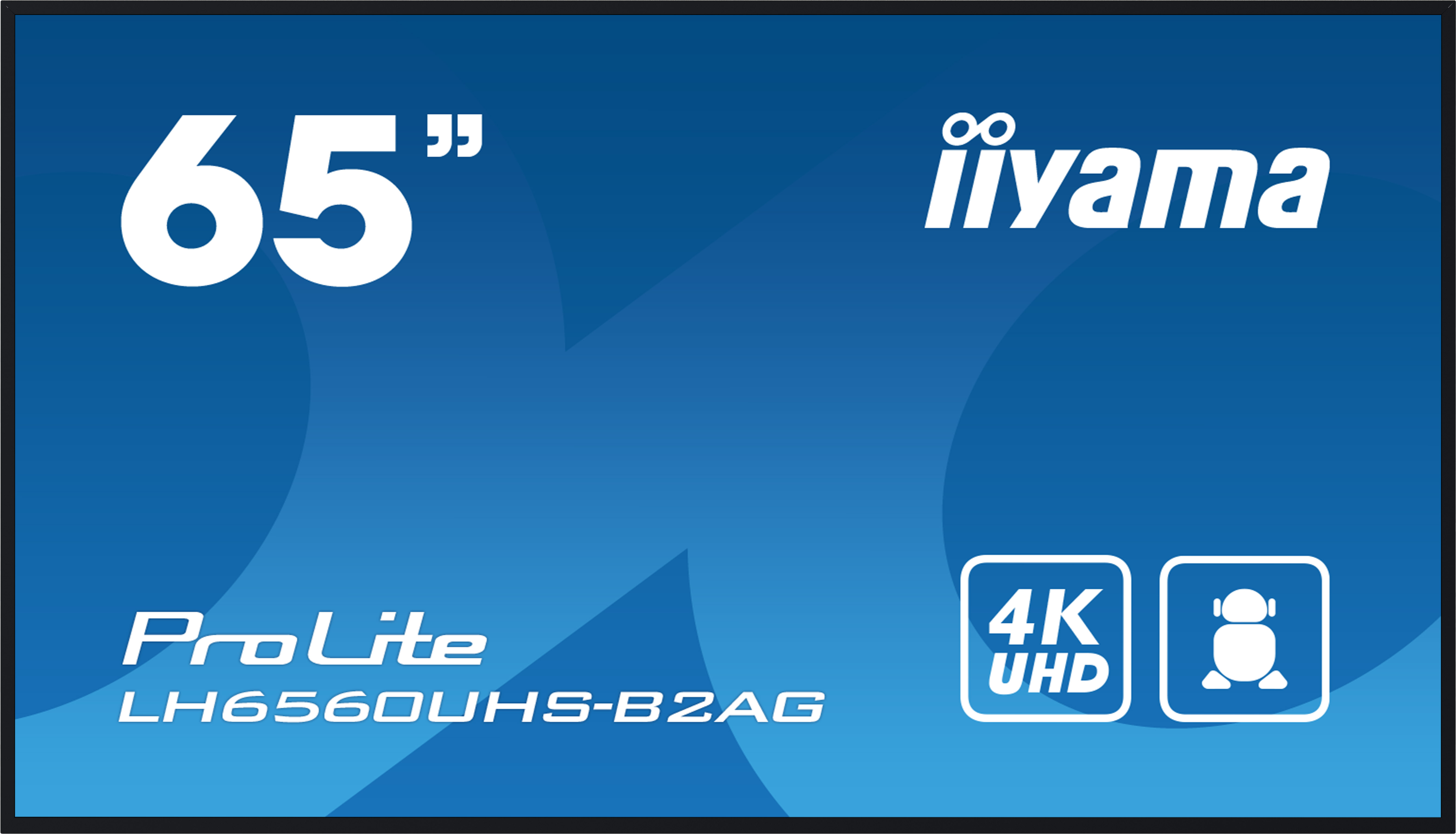 Iiyama ProLite LH6560UHS-B2AG | 65"