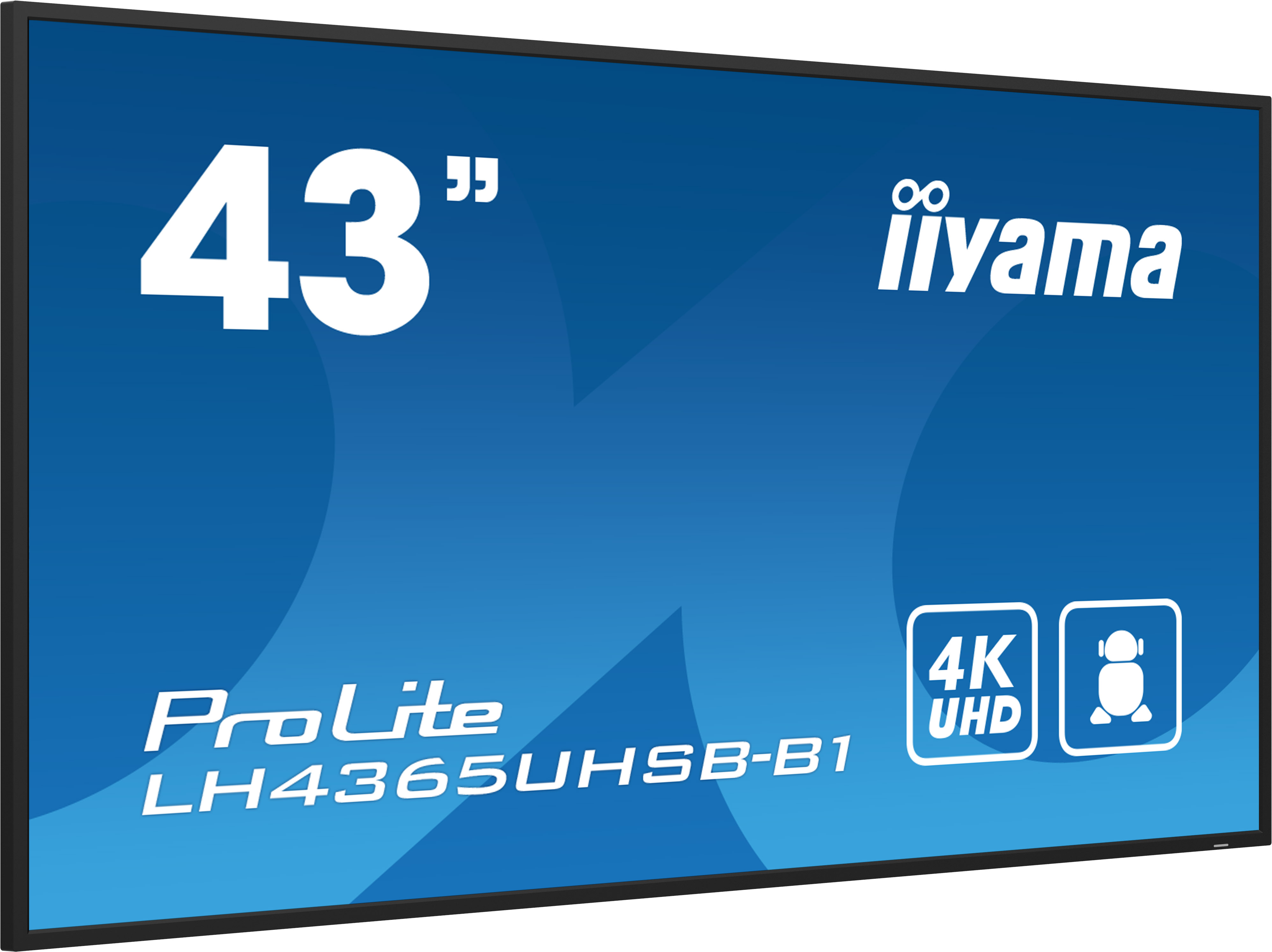 Iiyama ProLite LH4365UHSB-B1 | 43" 