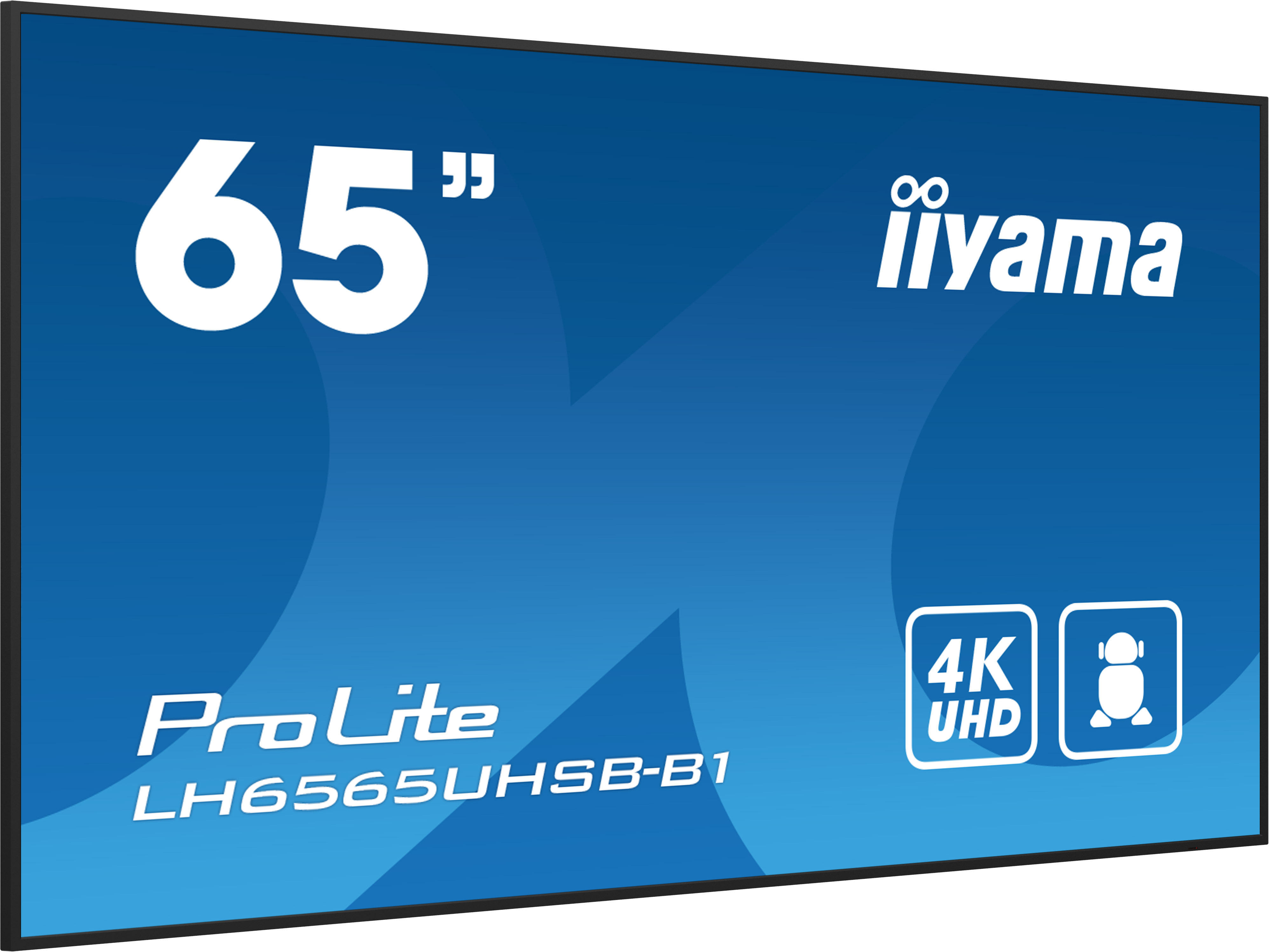 Iiyama ProLite LH6565UHSB-B1 | 65"