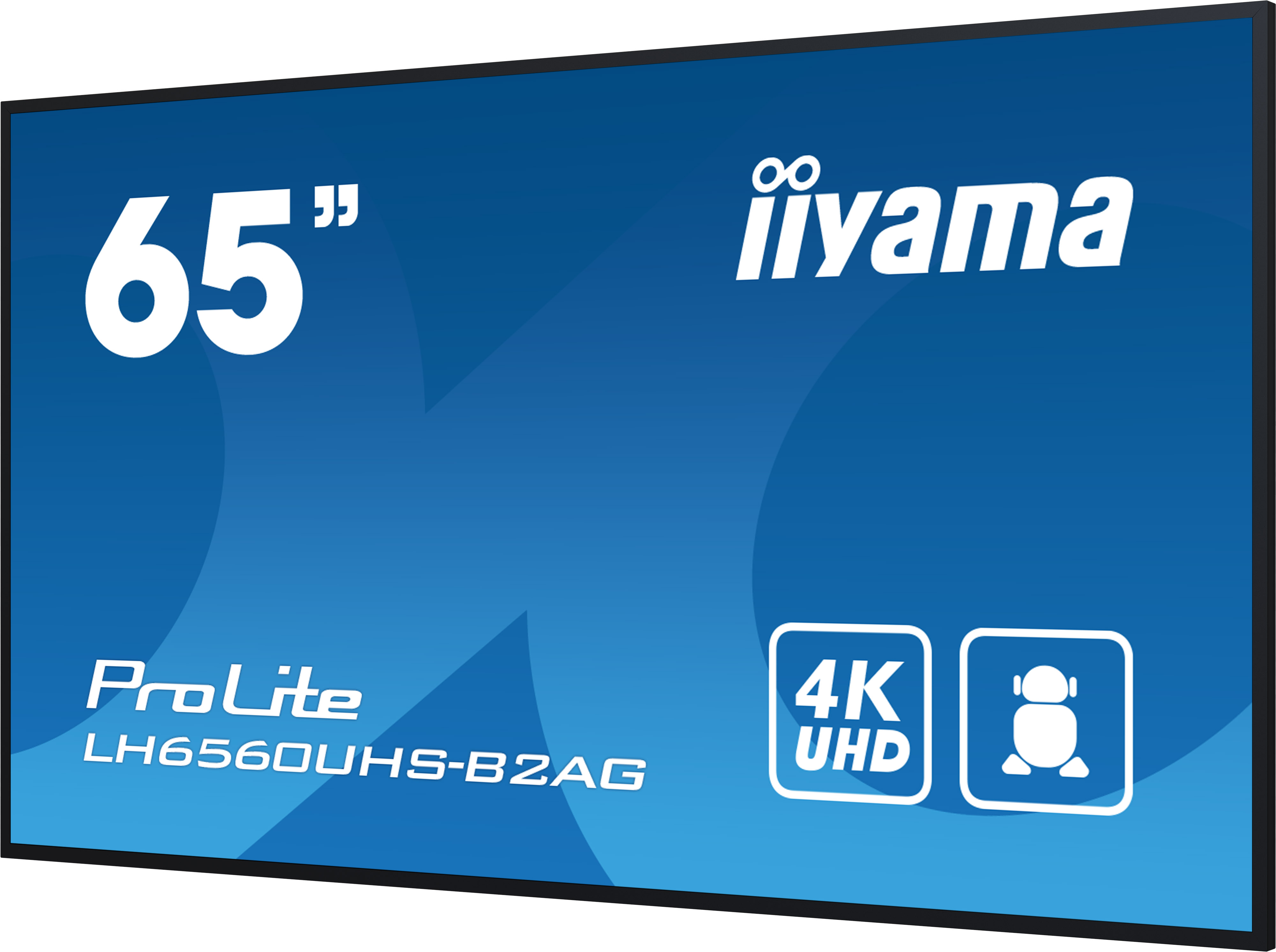 Iiyama ProLite LH6560UHS-B2AG | 65"