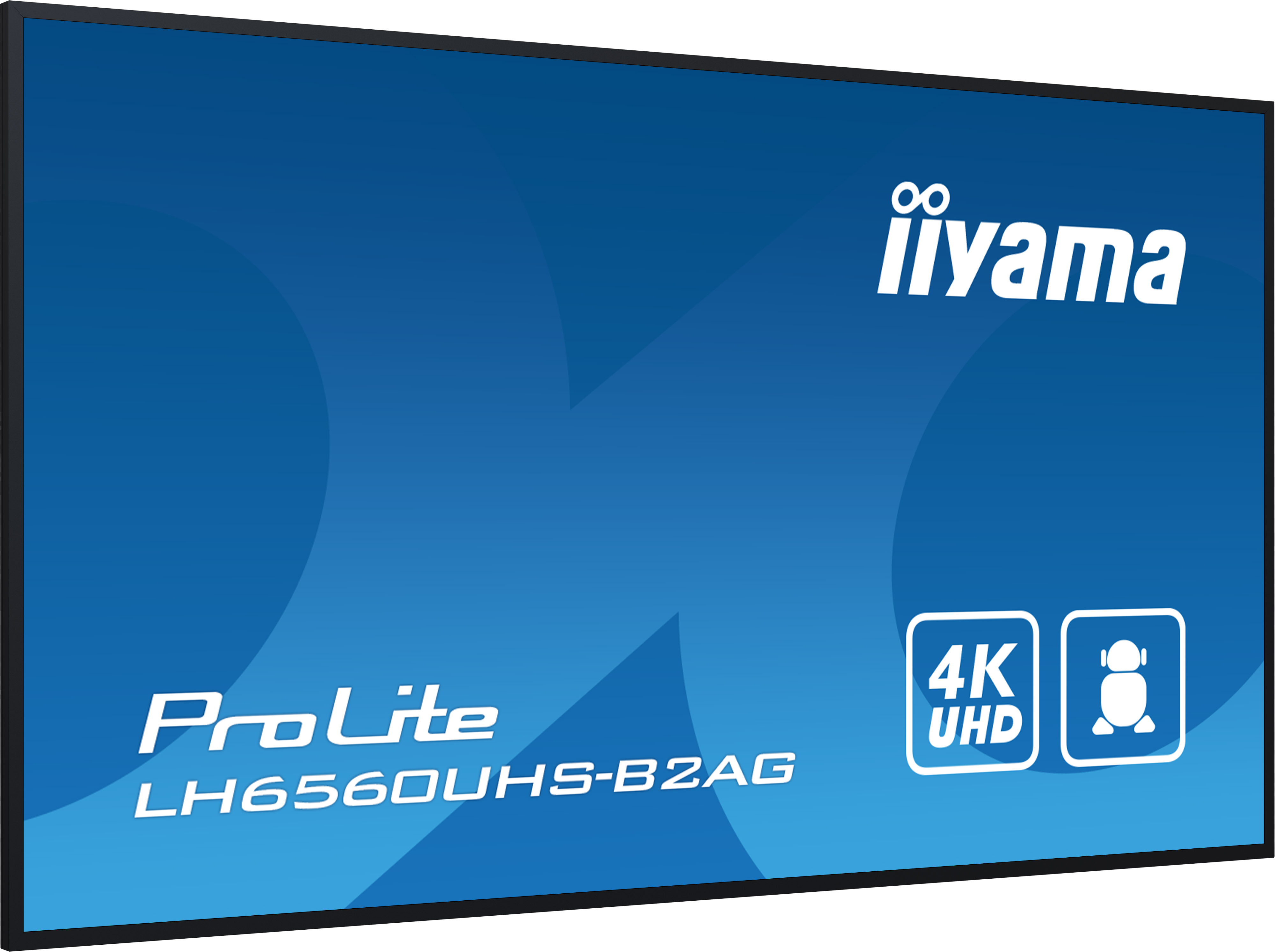 Iiyama ProLite LH6560UHS-B2AG | 65"