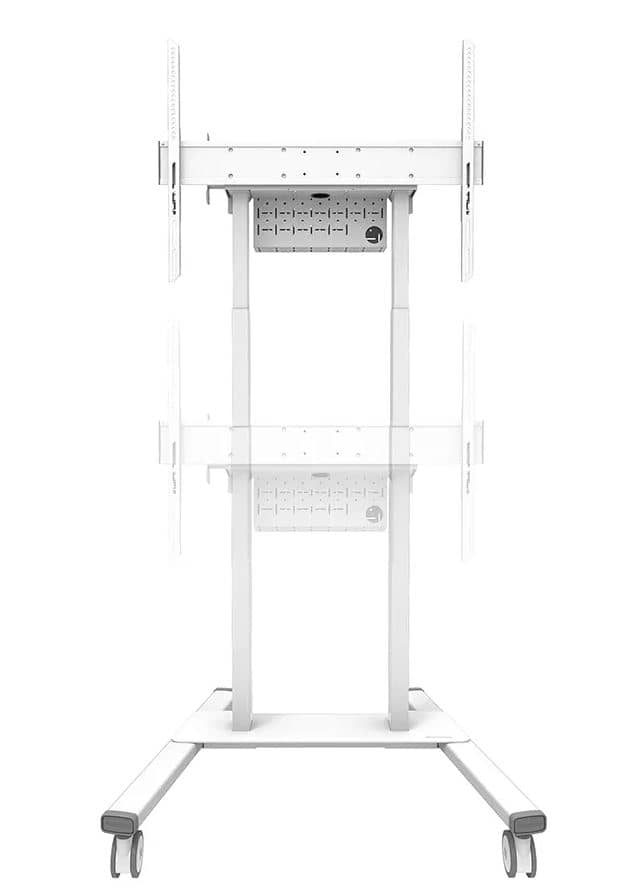 Neomounts FL55-875WH1 | 55" - 100"