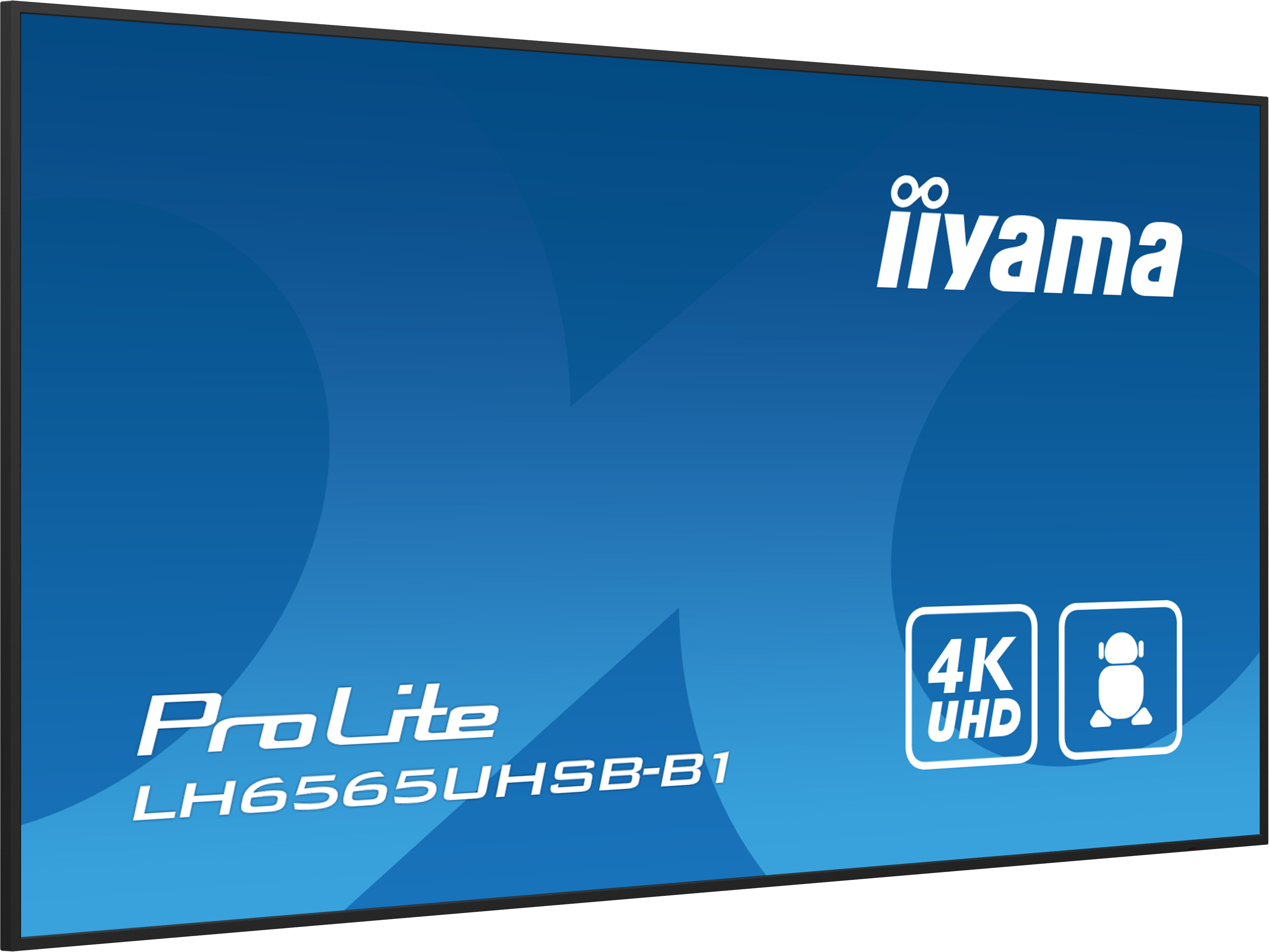 Iiyama ProLite LH6565UHSB-B1 | 65"