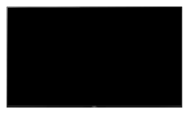 Sony BRAVIA FWD-65X95H/T | 65"