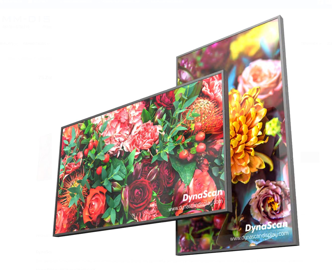 DynaScan DS752LR4 | Brillantes 75" Display für Schaufenster und semi-Outdoor-Lösungen