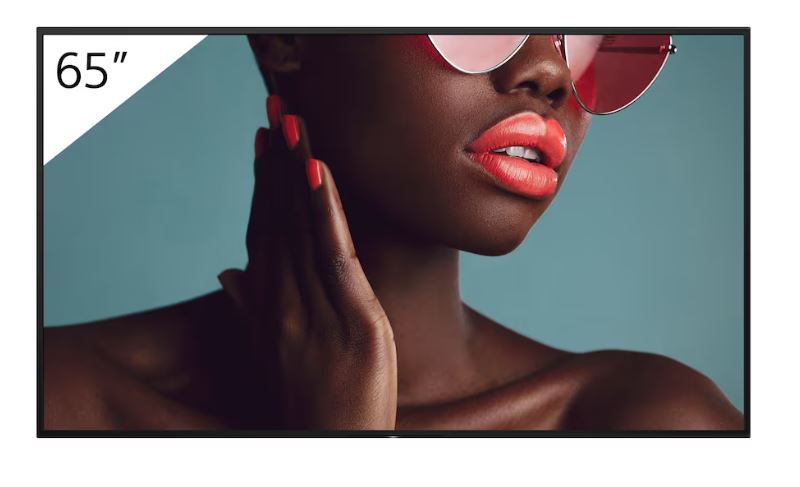 Sony BRAVIA FW-65BZ40L | 65"