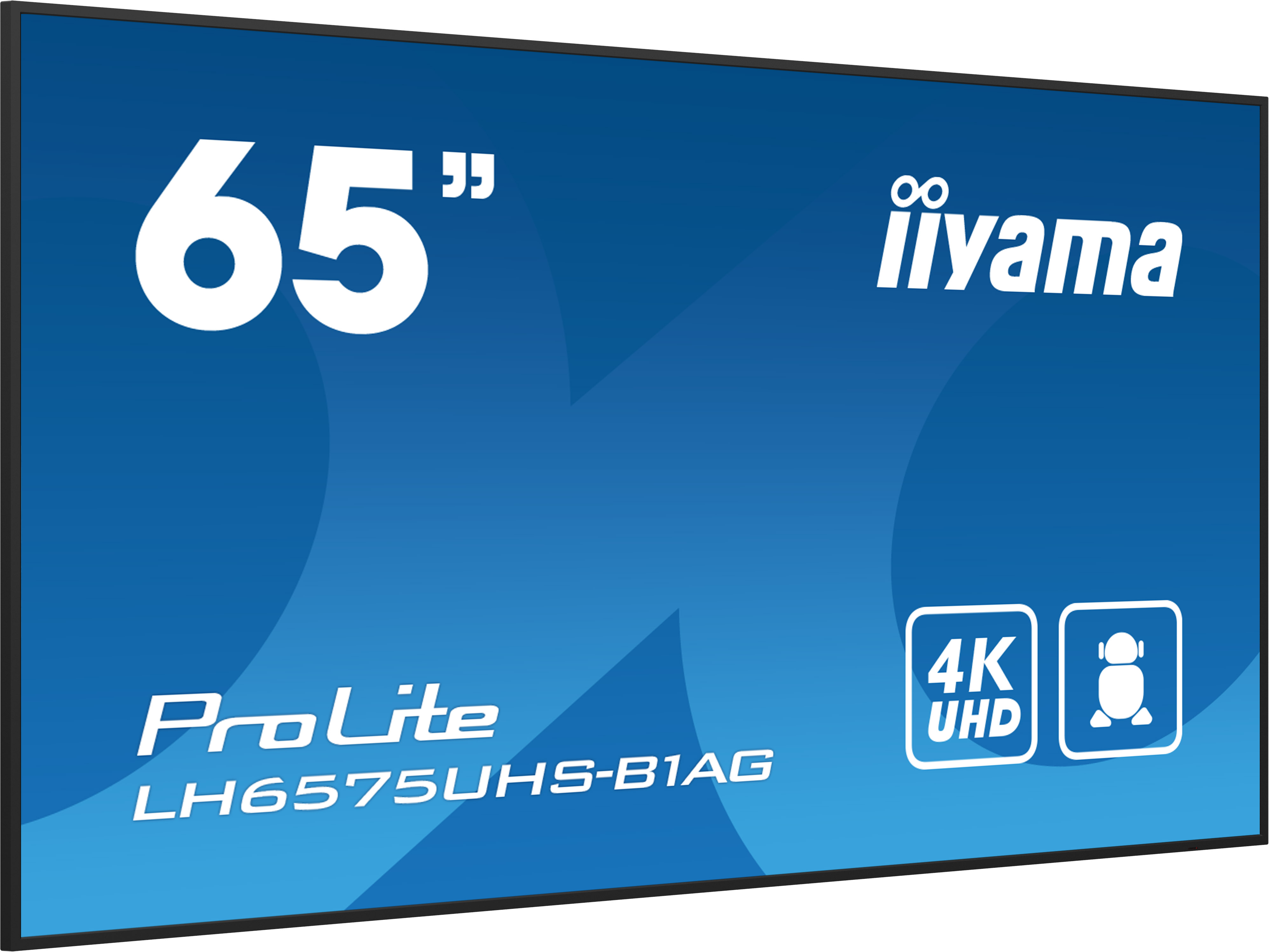 Iiyama ProLite LH6575UHS | 65"